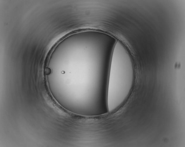 X0000111390884200907100958