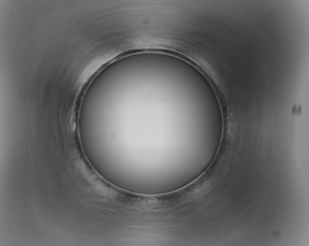 X0000111390885200907100958