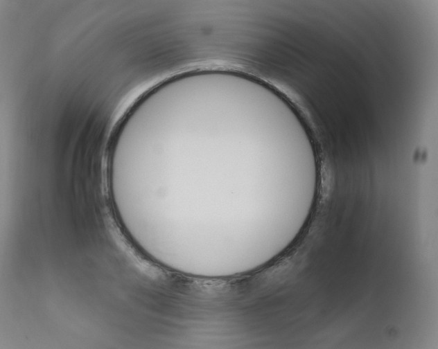 X0000111390886200907100958