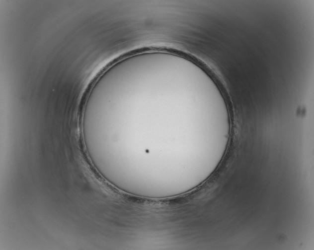 X0000111390887200907100958