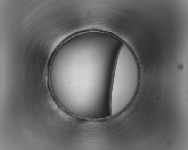 X0000111390888200907100958