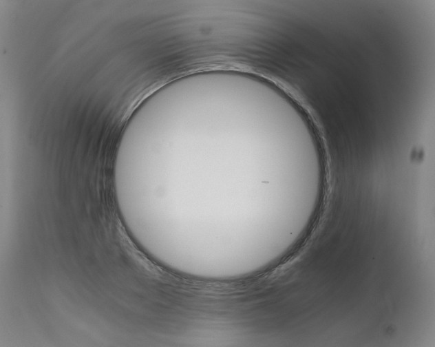 X0000111390889200907100958