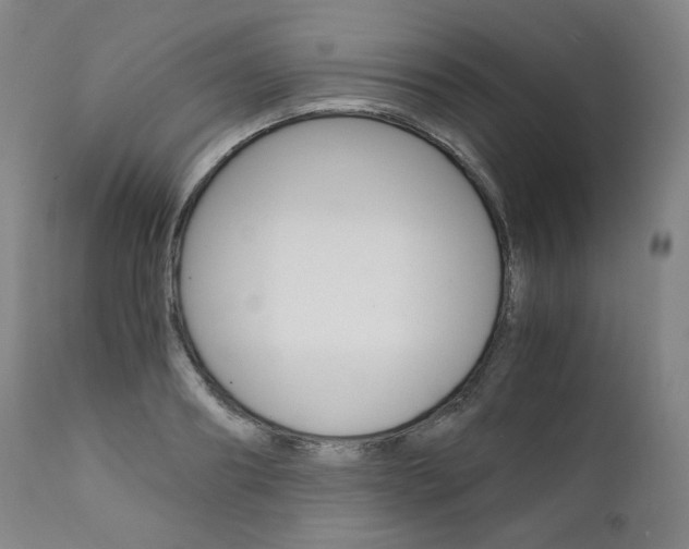 X0000111390890200907100958