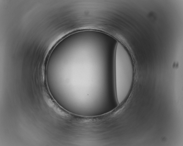 X0000111390892200907100958
