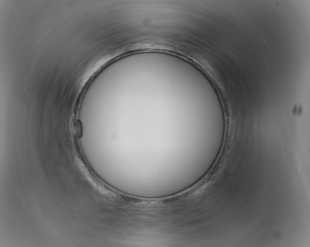 X0000111390893200907100958
