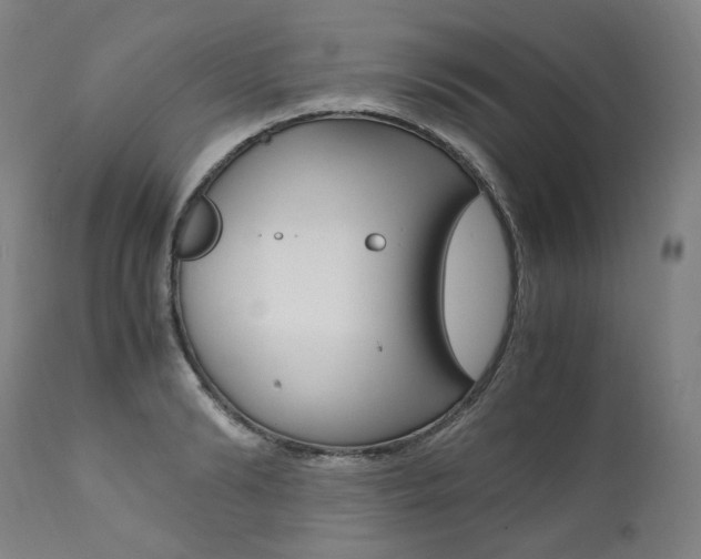 X0000111390894200907100958
