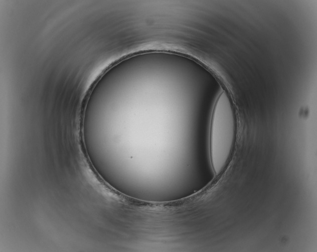 X0000111390896200907100958