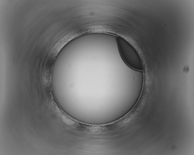 X0000111390897200907100958