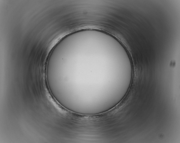 X0000111390898200907100958