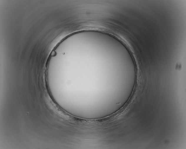 X0000111390899200907100958