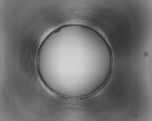 X0000111390901200907100958
