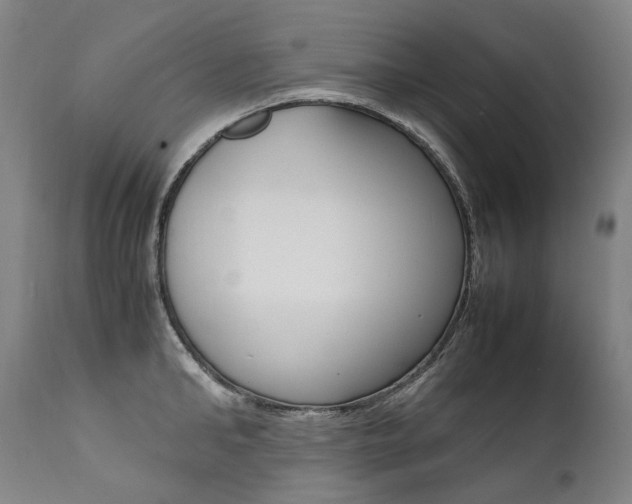 X0000111390902200907100958