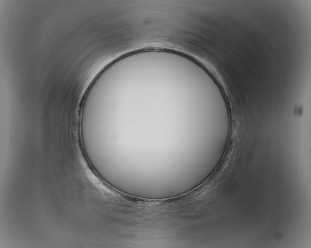 X0000111390903200907100958