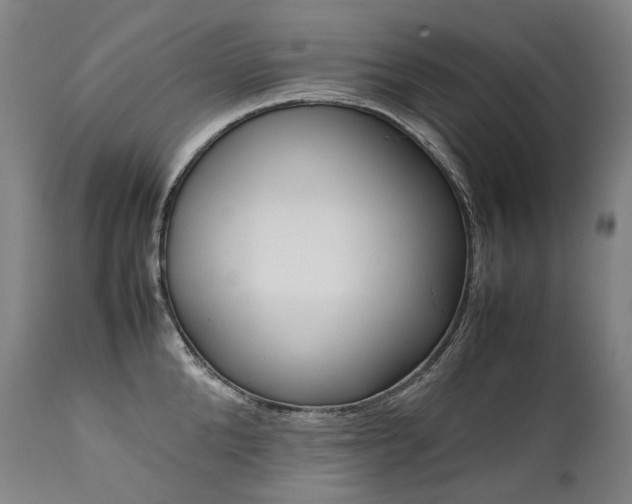 X0000111390904200907100958