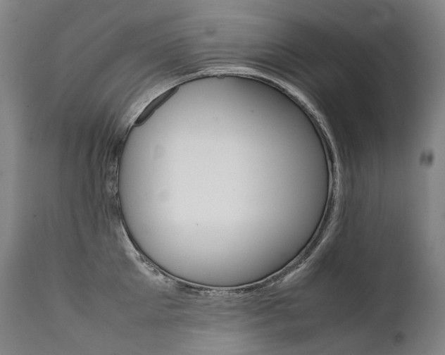 X0000111390905200907100958