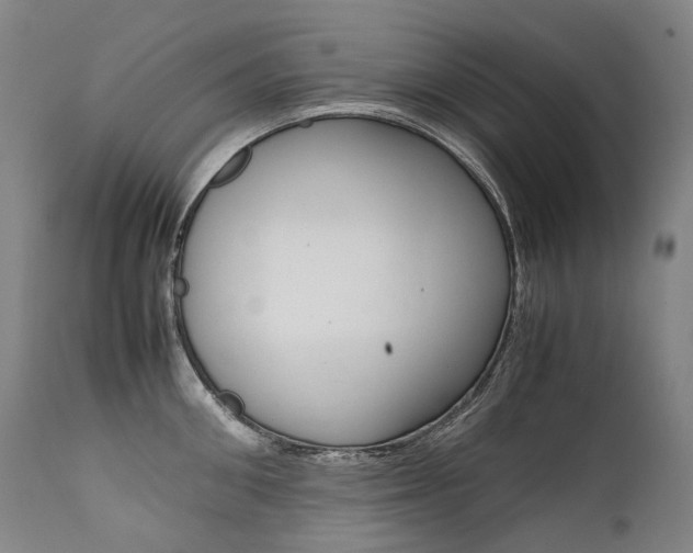 X0000111390906200907100958