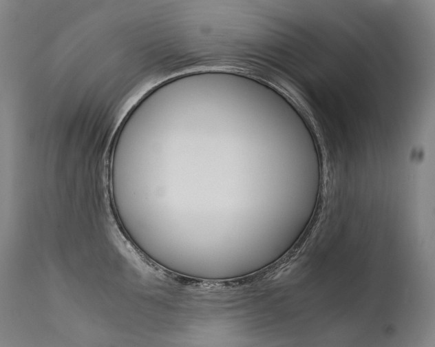 X0000111390907200907100958