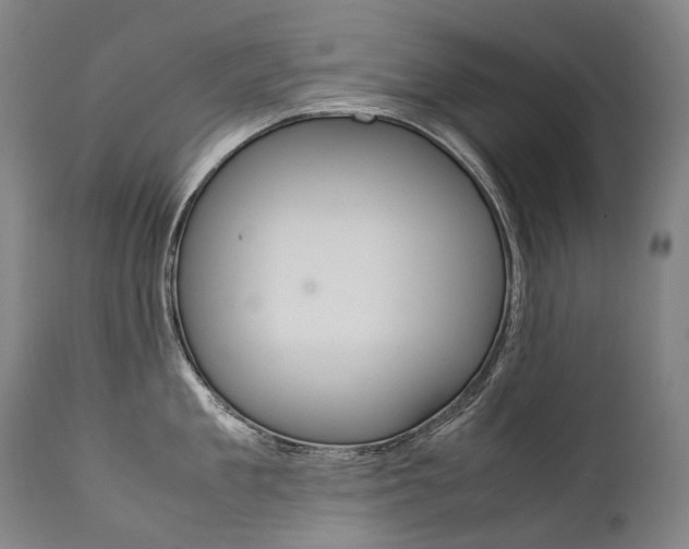 X0000111390909200907100958