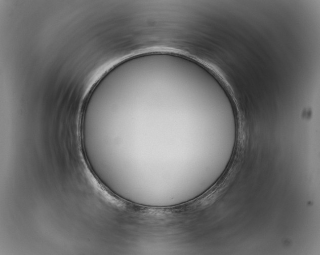 X0000111390910200907100958