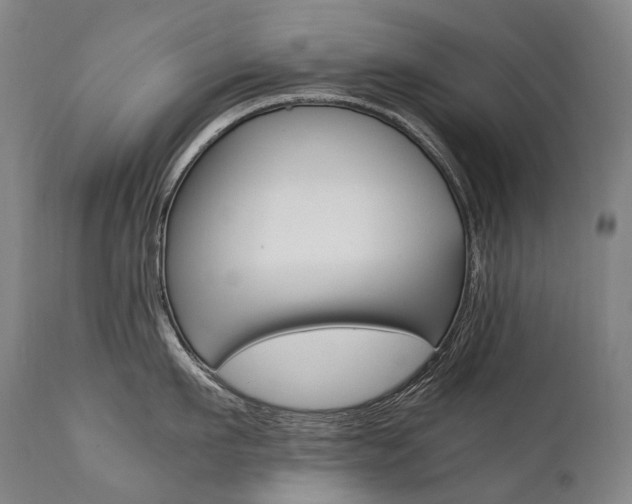 X0000111390911200907100958