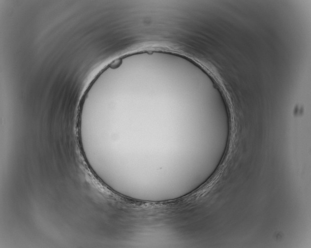 X0000111390912200907100958