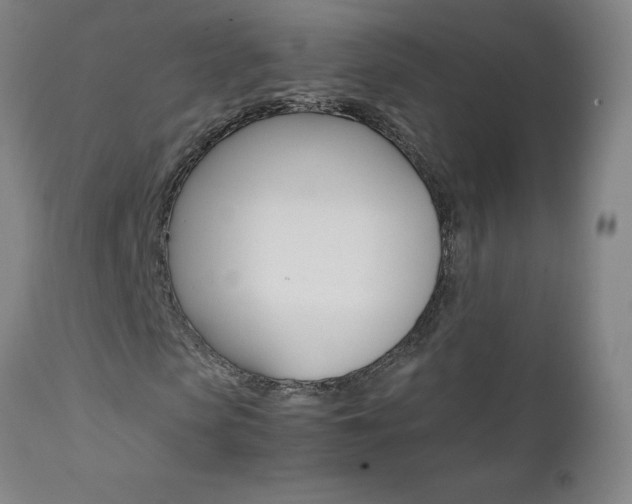 X0000111390913200907100957