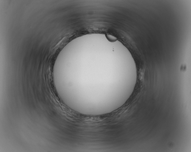 X0000111390915200907100957