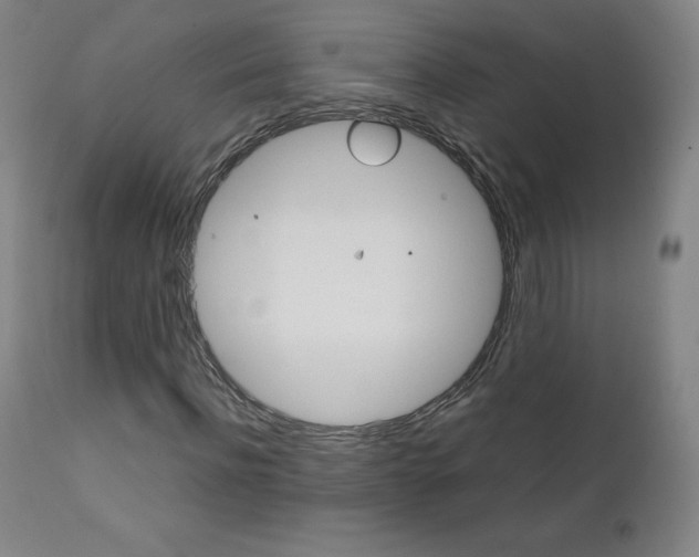 X0000111390916200907100957