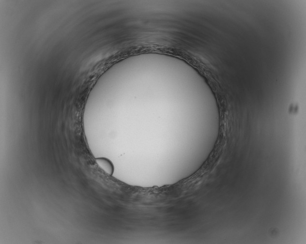 X0000111390917200907100957