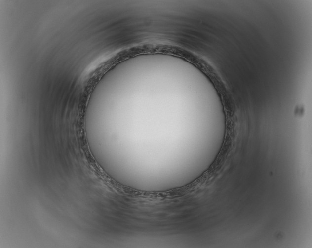 X0000111390919200907100957