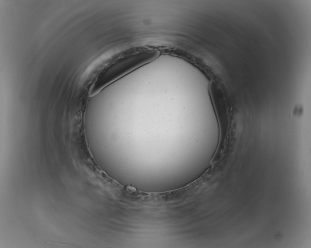X0000111390920200907100957