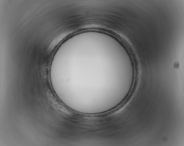 X0000111390921200907100957