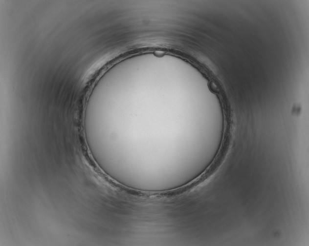 X0000111390922200907100957