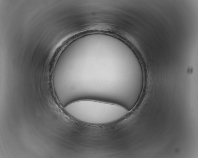 X0000111390923200907100957
