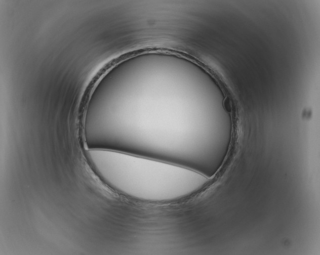 X0000111390924200907100957