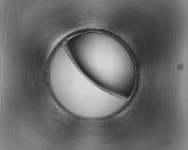 X0000111390926200907100957