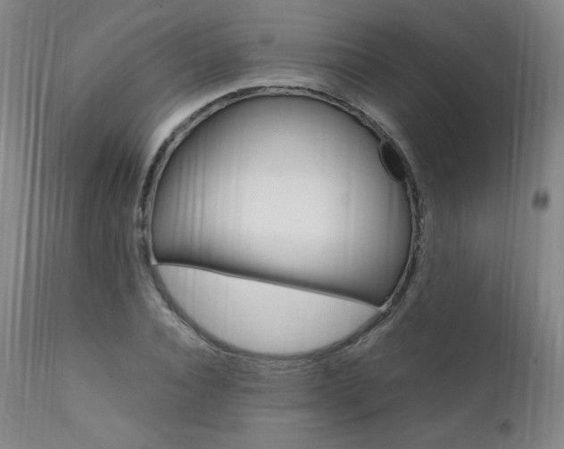 X0000111390928200907100957