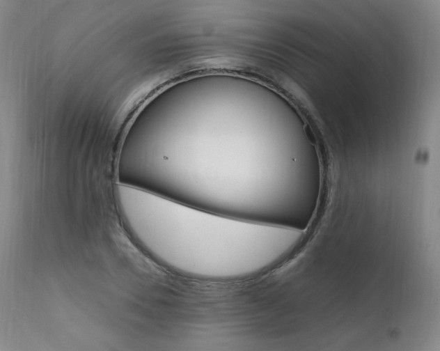 X0000111390930200907100957