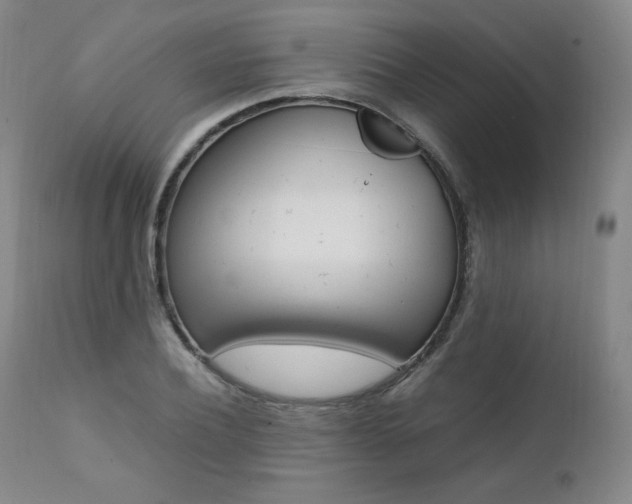 X0000111390932200907100957