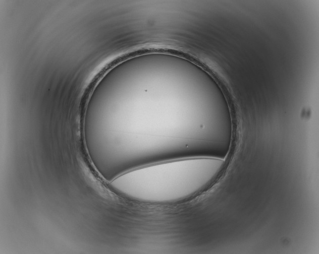 X0000111390934200907100957