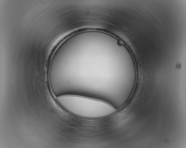 X0000111390935200907100957