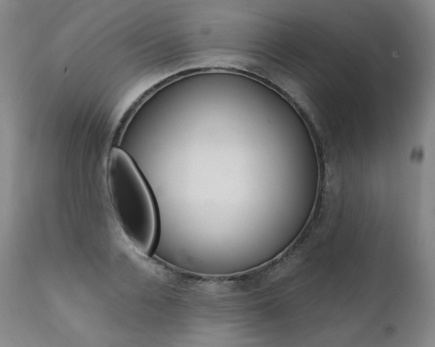 X0000111390936200907100957