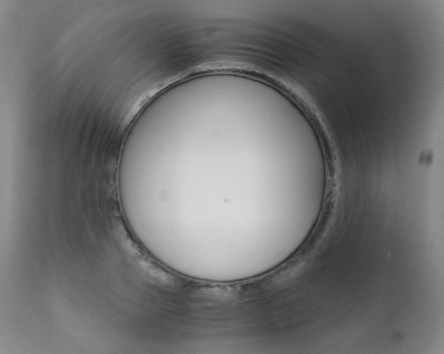 X0000111390937200907100957
