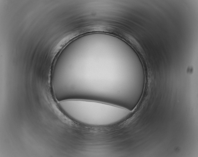 X0000111390938200907100957