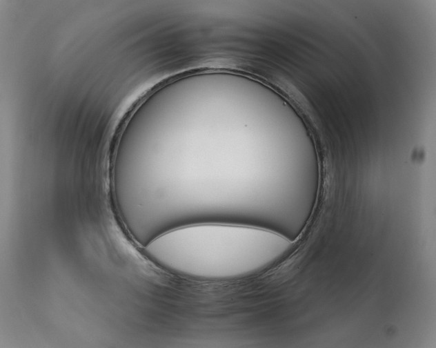 X0000111390939200907100957