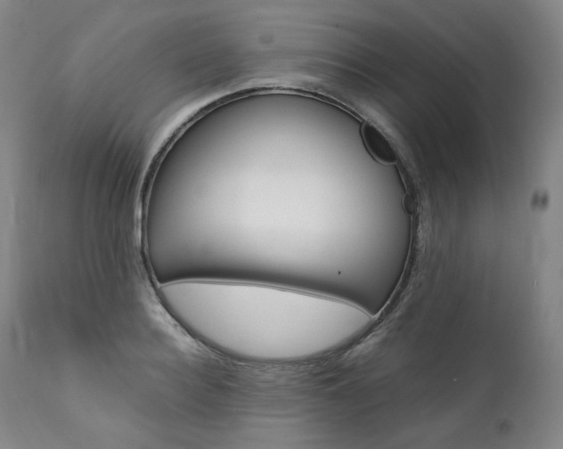 X0000111390940200907100957
