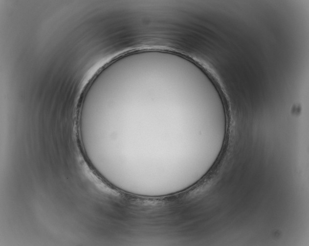 X0000111390941200907100957