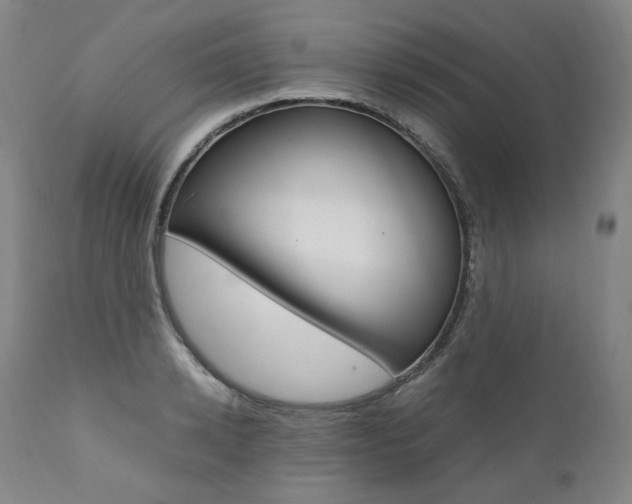 X0000111390942200907100957