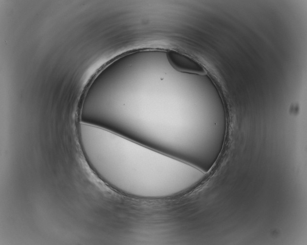 X0000111390944200907100957