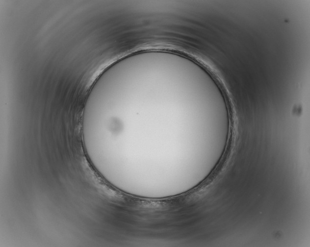 X0000111390945200907100957